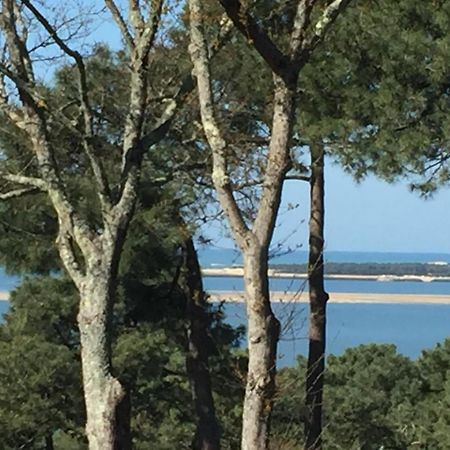 Bed and Breakfast Chistera Pyla-sur-Mer Exterior foto
