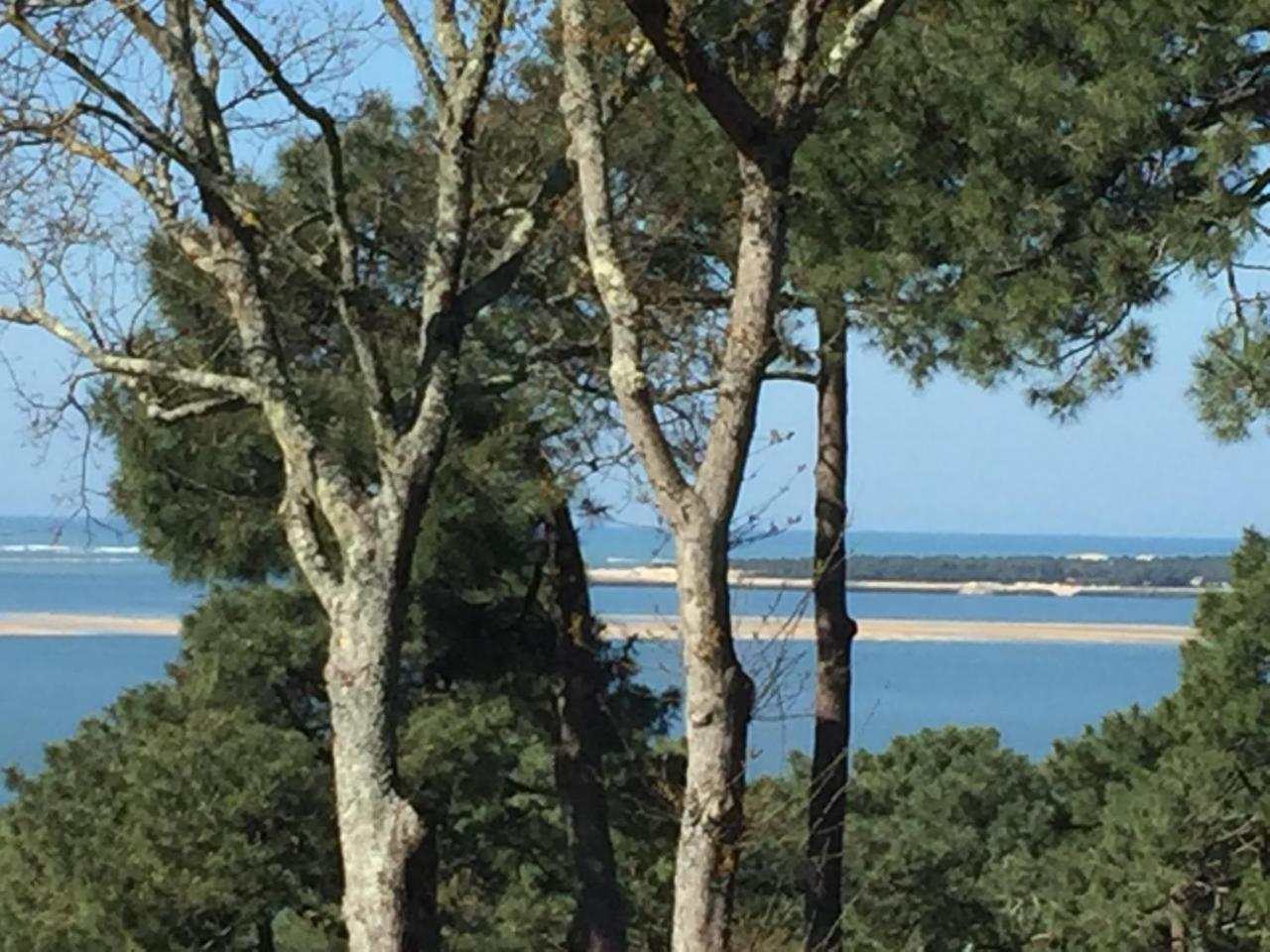 Bed and Breakfast Chistera Pyla-sur-Mer Exterior foto